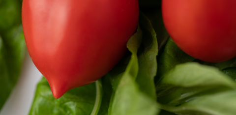 vek studio still life food strianese