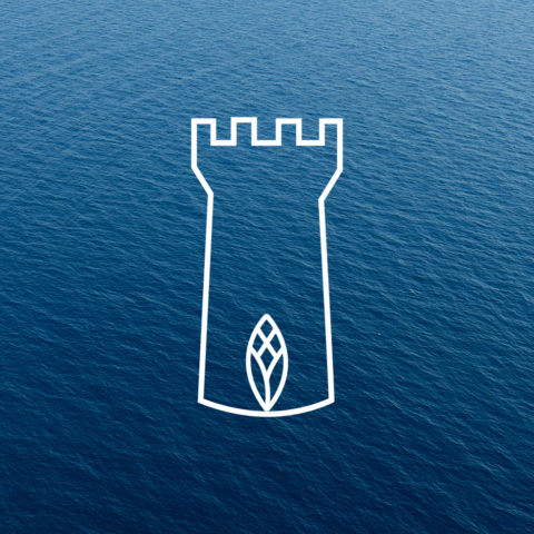 vek studio torre mola pasta paone